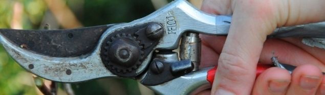 Felco snoeischaar