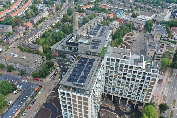 Loohorst Landscaping Loohorst Landscaping