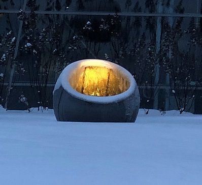 De bollen kunnen jaarrond aan blijven staan. De bollen kunnen jaarrond aan blijven staan.