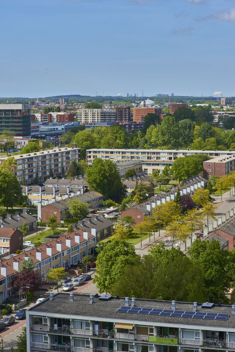Haarlemmers konden hun inspraakreactie geven op het groenbeleidsplan, waaronder de ontwikkeling 'Stad tussen de bomen' in de wijk Schalkwijk.