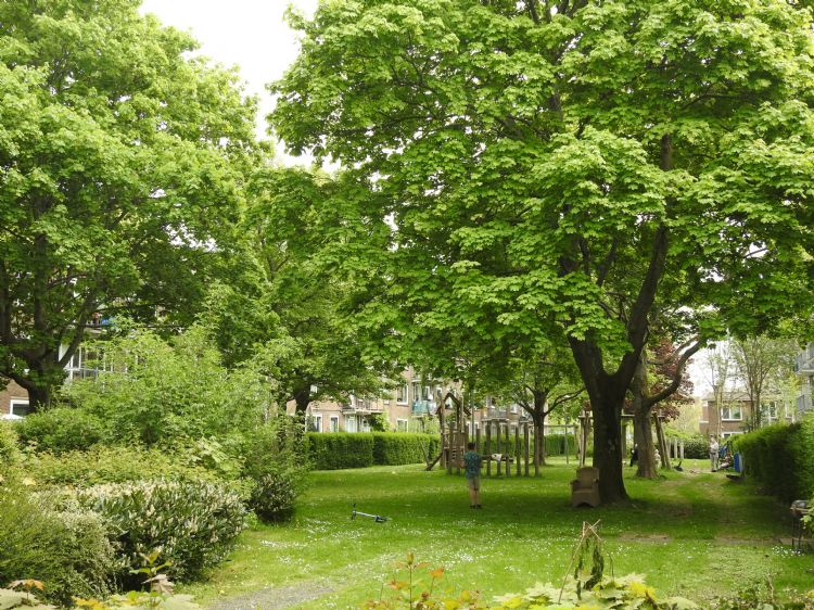 In de wijk Vrijenban liggen tussen de lage flats diverse groene (speel)plekken. De bewoners hebben zicht op grote bomen en de plekken dragen bij aan een groter aantal ontmoetingen.