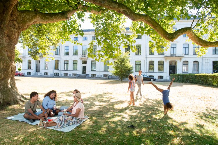 In de zomer is het goed toeven onder een grote oude boom in het Kenaupark in Haarlem. In de zomer is het goed toeven onder een grote oude boom in het Kenaupark in Haarlem.