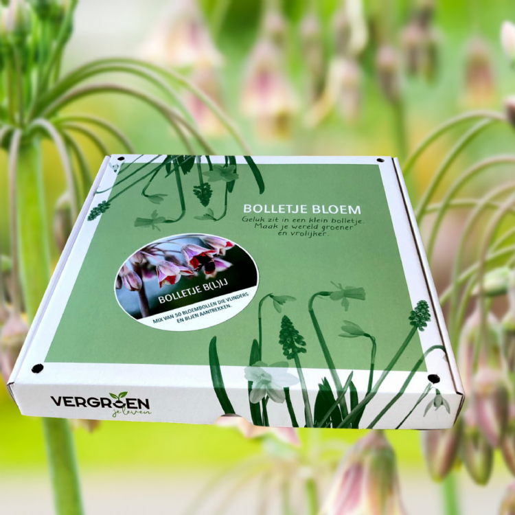 Bolletje B(l)ij Bolletje B(l)ij