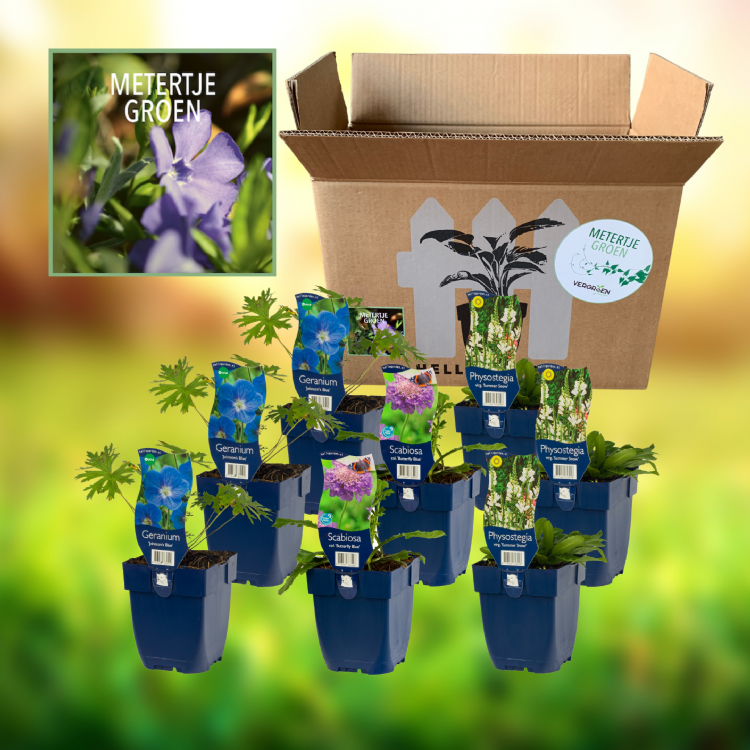 Metertje Groen Metertje Groen