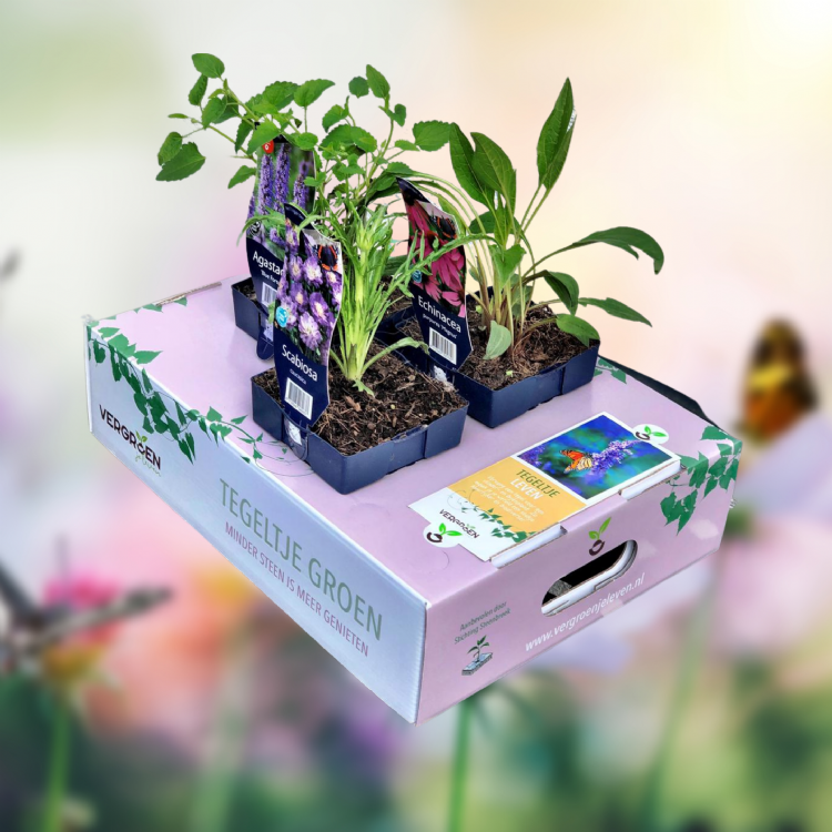 Tegeltje Leven Tegeltje Leven