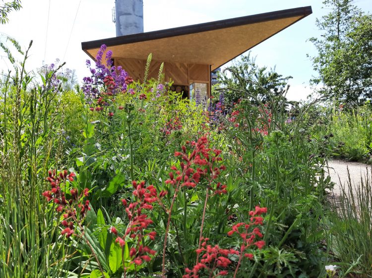 De planten op de Floriade zijn in oktober 2021 aangeplant De planten op de Floriade zijn in oktober 2021 aangeplant