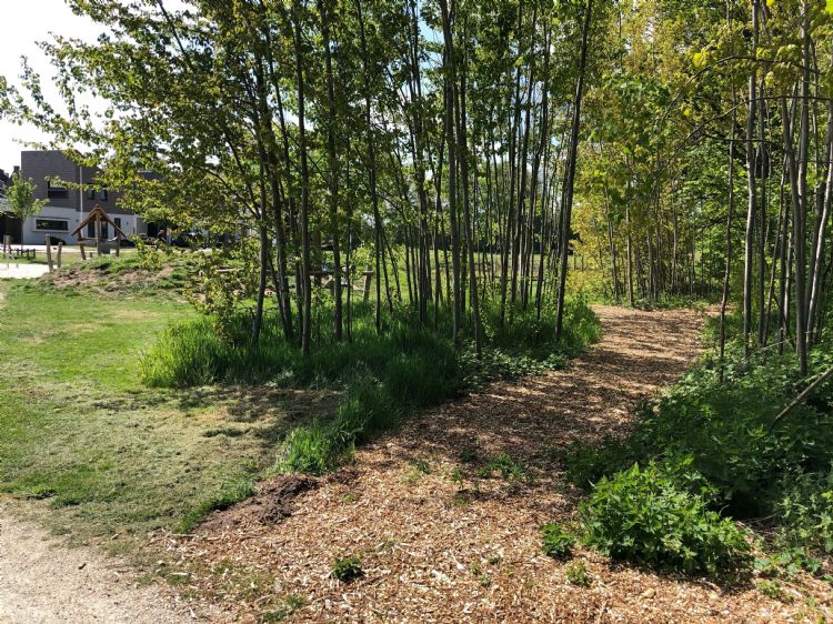 Een natuurlijke speelplek in de wijk Flierbeek te Lichtenvoorde Een natuurlijke speelplek in de wijk Flierbeek te Lichtenvoorde