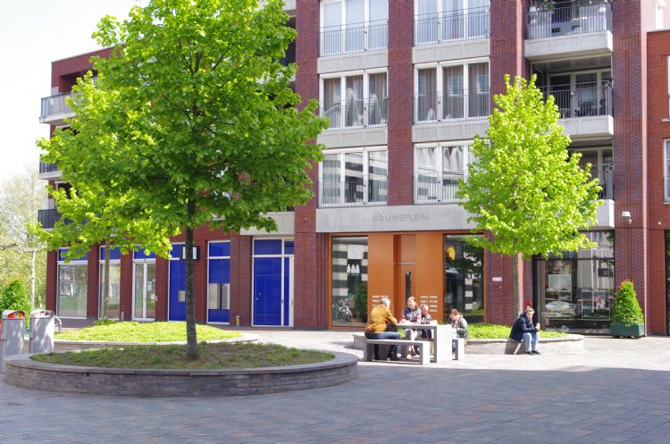 Riante groeiplaatsen voor de bomen op het Gouweplein Riante groeiplaatsen voor de bomen op het Gouweplein