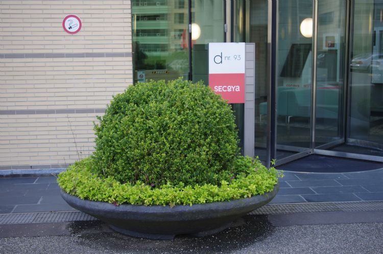 Het groen in losse bakken is een erfenis uit het verleden. Het groen in losse bakken is een erfenis uit het verleden.