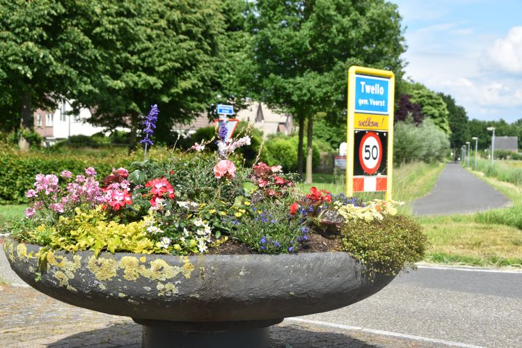 Direct een fleurig aanzien bij nadering Twello Direct een fleurig aanzien bij nadering Twello