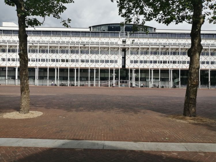 'Het enige wat je nog van de boombunkers ziet, zijn de gezonde bomen'