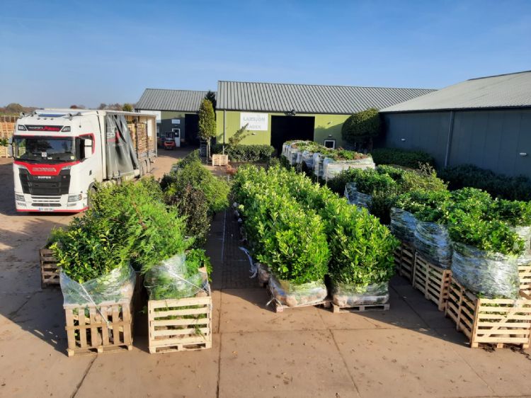 Lading beplanting op de locatie Zundert Lading beplanting op de locatie Zundert