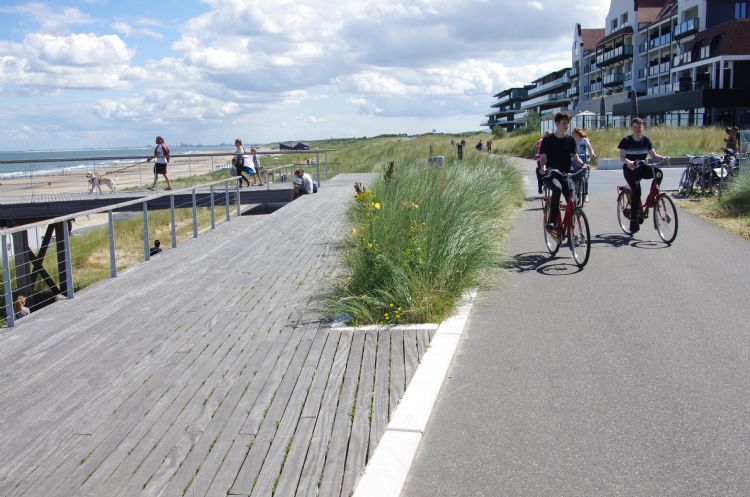 Natuur en aanplant gaan naadloos in elkaar over.