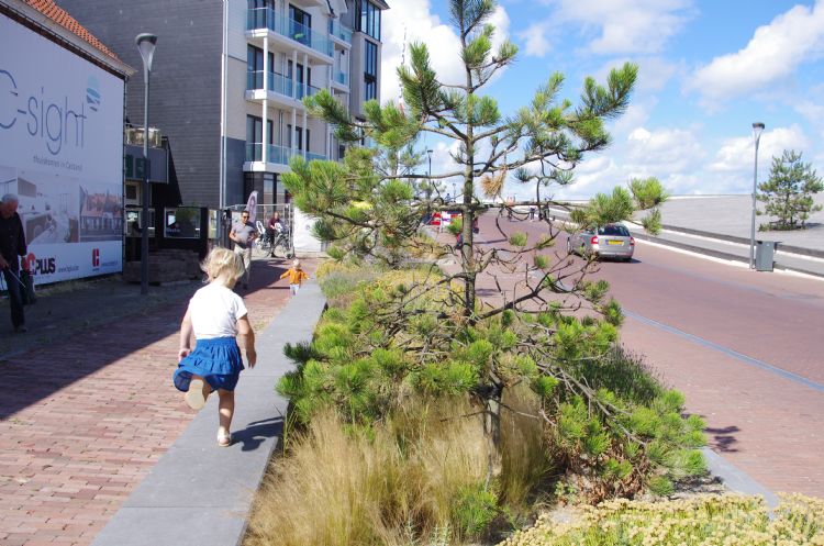 Dichter bij de bebouwing is meer cultuurlijke beplanting.