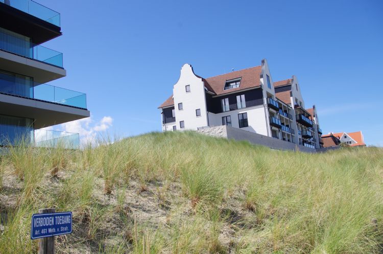 Aangelegd duin is niet van echt te onderscheiden.