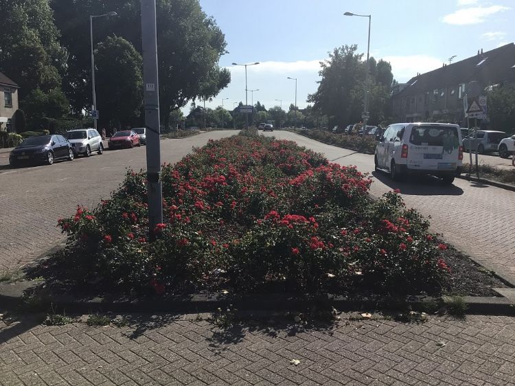Plantvak met bokashi. Foto: Benjamin Mensinga