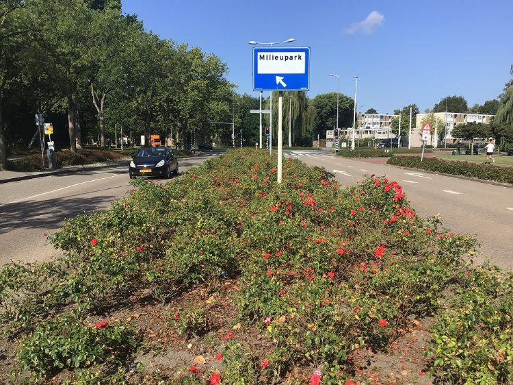 Plantvak zonder bokashi. Foto: Benjamin Mensinga