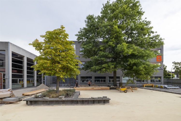 Foto: <i>i</i>dverde NL Foto: <i>i</i>dverde NL