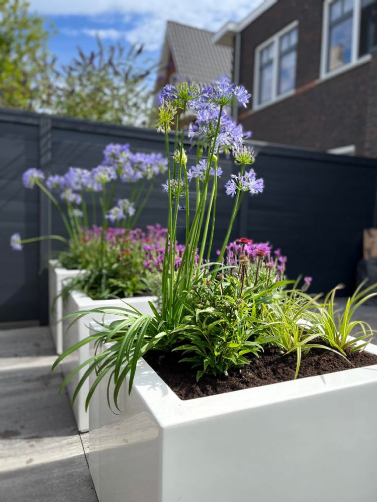 Witte polyester plantenbak van Hoveniersbedrijf van der Lee - Waddinxveen Witte polyester plantenbak van Hoveniersbedrijf van der Lee - Waddinxveen