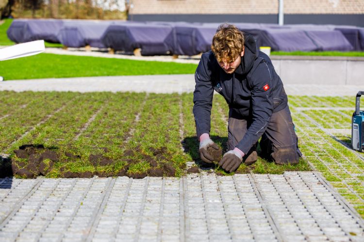 Hoveniersbedrijf Luukse Tuinaanleg verwerkt de graspluggen in de kunststof grasdallen