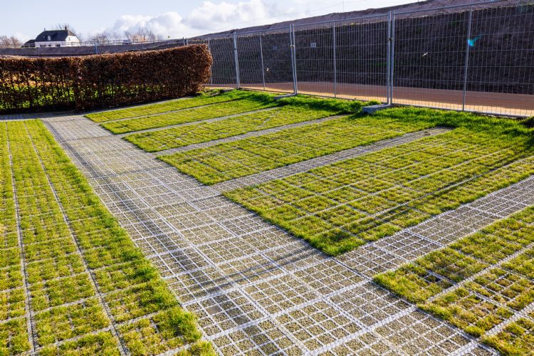 Het resultaat is een groene parkeerplaats Het resultaat is een groene parkeerplaats