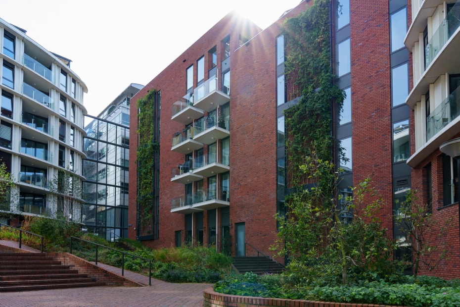 Het gevelgroen van de Rhapsody in Amsterdam-West klimt de hoogte in Het gevelgroen van de Rhapsody in Amsterdam-West klimt de hoogte in