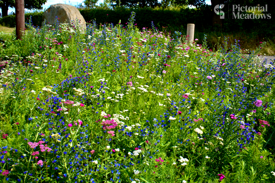 Patchwork quilt Patchwork quilt