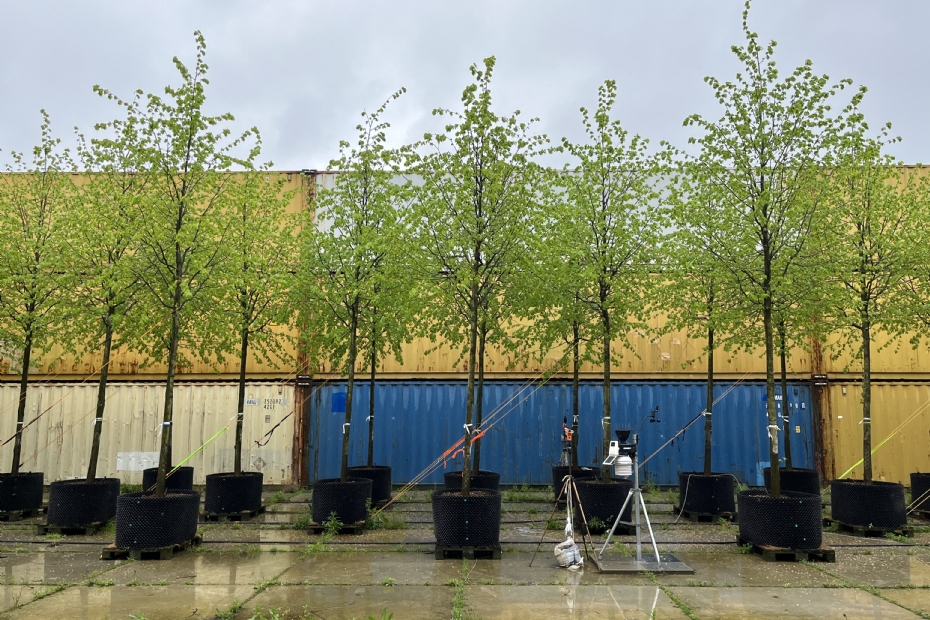 Proefopzet Proefopzet