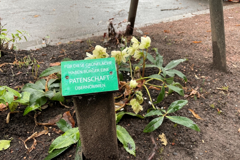 Ook onze oosterburen kennen bewonersparticipatie: buurtbewoners adopteren een perkje