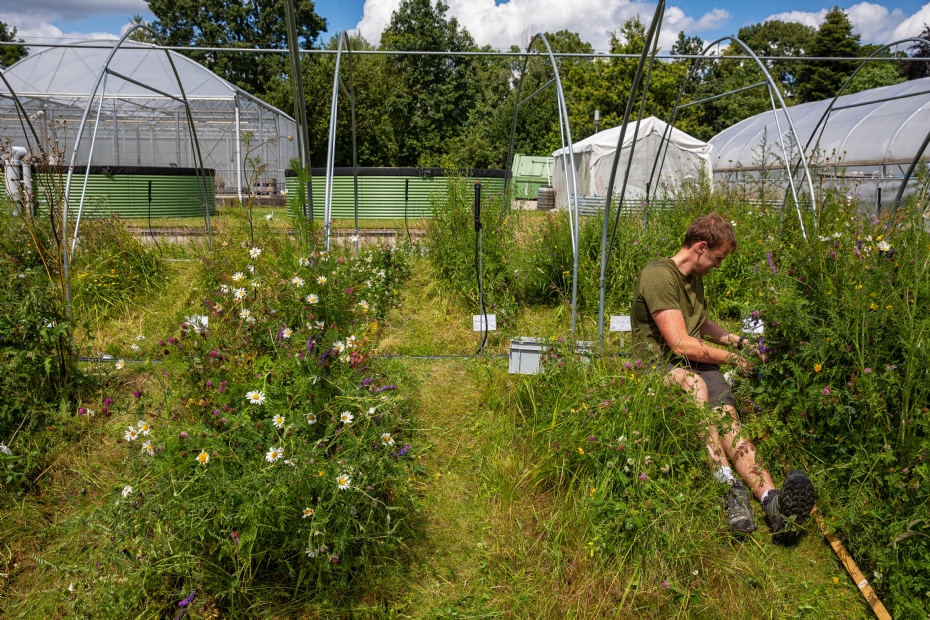 De bogen waarover het folie komt om droogte na te bootsen De bogen waarover het folie komt om droogte na te bootsen