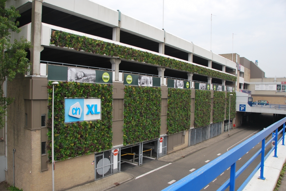 Gevelgroen in het centrum van Zoetermeer