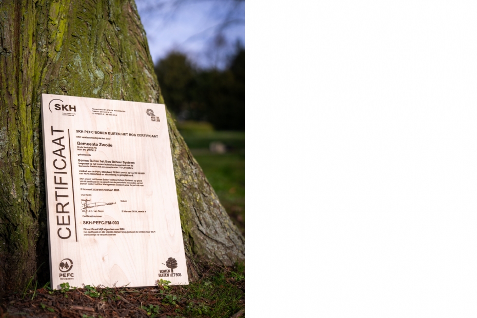 Het in hout gegraveerde certificaat Het in hout gegraveerde certificaat