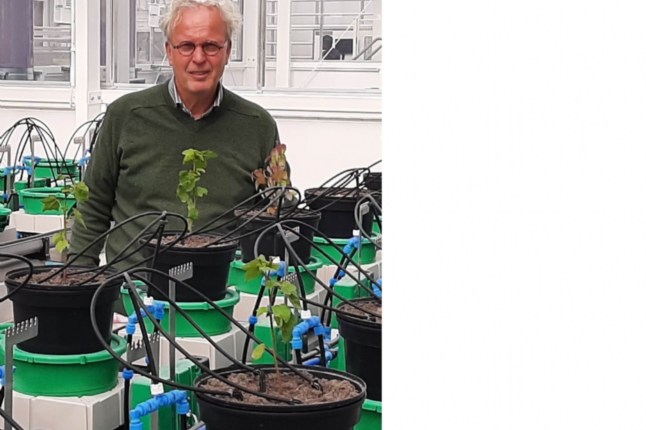 Marc Ravesloot (Beeld via WUR) Marc Ravesloot (Beeld via WUR)