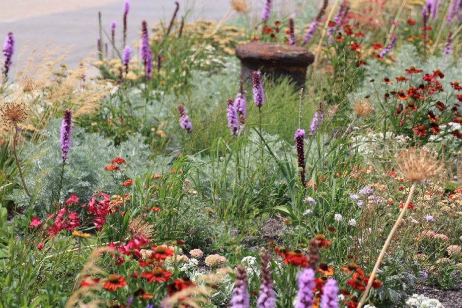 Ook Lageschaar moest zich aan de beperkingen van de locatie houden en soorten selecteren die zoutresistent zijn. Ook Lageschaar moest zich aan de beperkingen van de locatie houden en soorten selecteren die zoutresistent zijn.