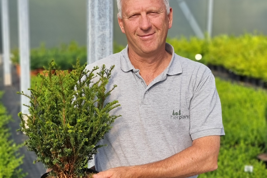 Didier Hermans Didier Hermans