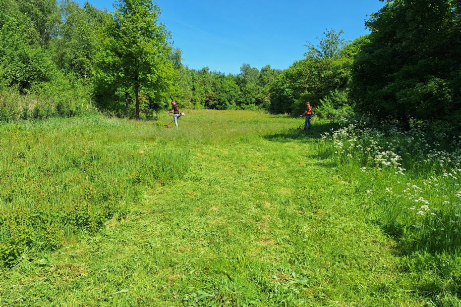 Twee proefpersonen testen het draad Twee proefpersonen testen het draad