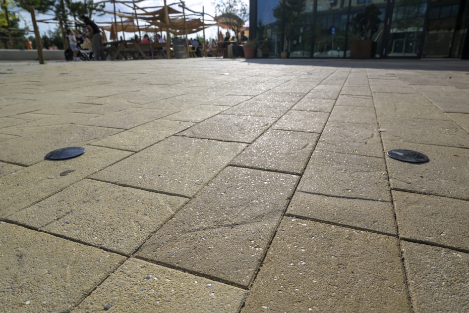 Kleurechte Waddensteen met schelpen in de toplaag