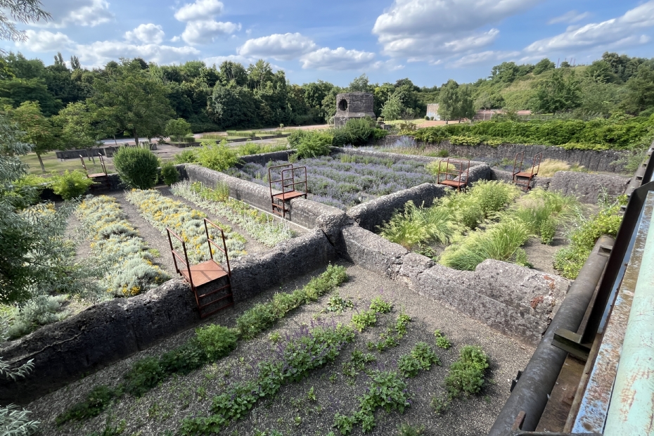Er zijn diverse landschappen gecreëerd Er zijn diverse landschappen gecreëerd