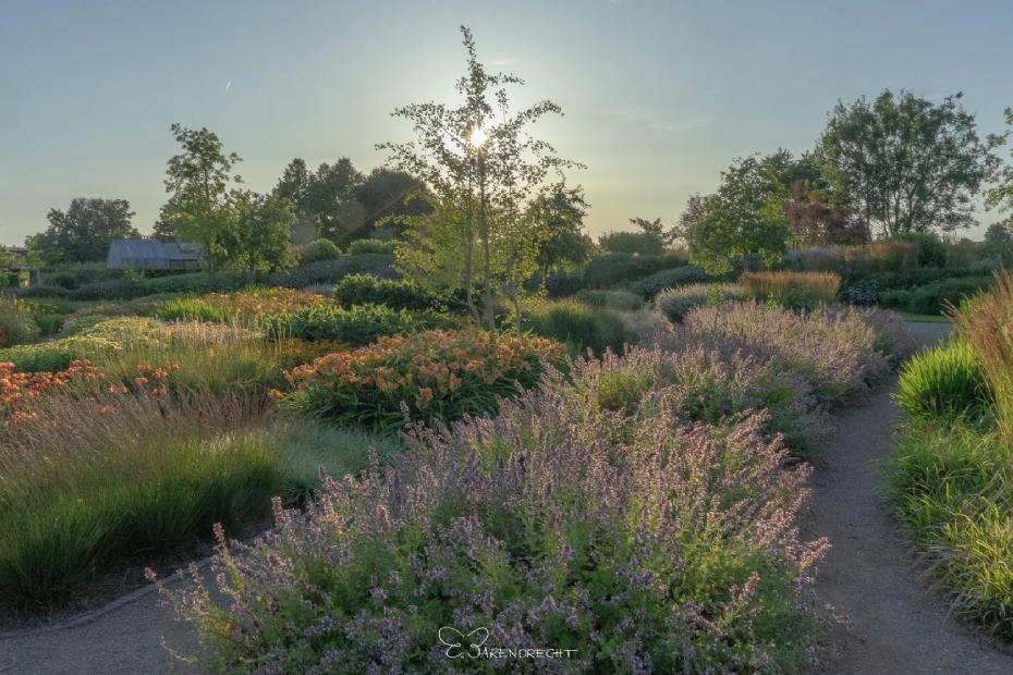 Talloze bloemcombinaties (Beeld via: Bloemenpark Appeltern) Talloze bloemcombinaties (Beeld via: Bloemenpark Appeltern)