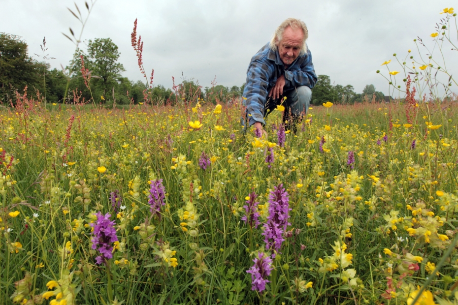 Nico Minnema in reeds omgevormd pitrusland Nico Minnema in reeds omgevormd pitrusland