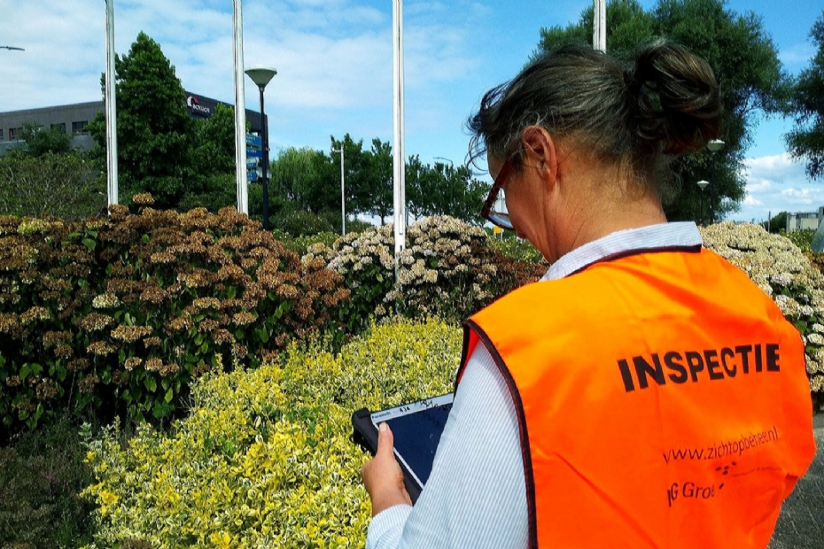 Een DG Groep-medewerker inspecteert het openbaar groen Een DG Groep-medewerker inspecteert het openbaar groen