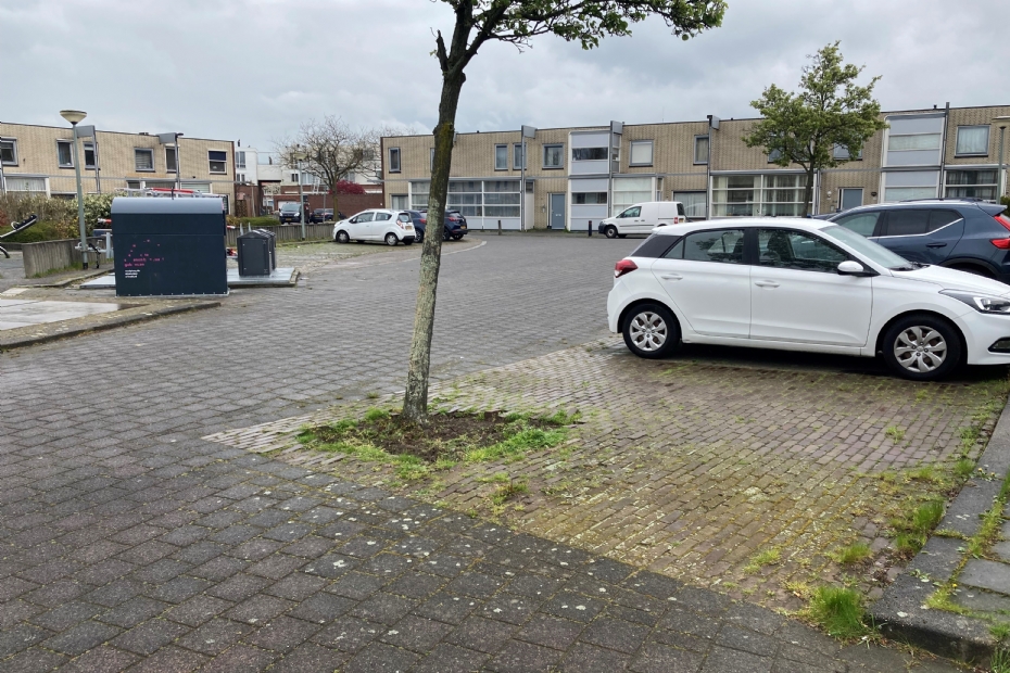 Keizerhof in de uitgangssituatie