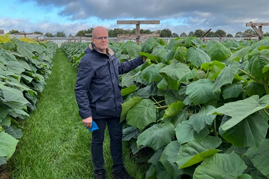 André Boereboom André Boereboom