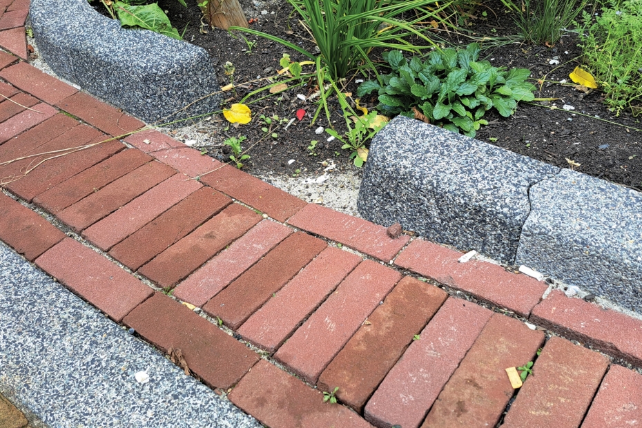 Een afwateringsband (waterregulerende band voor uitstroom naar groenvoorziening) in de Frans Halsbuurt