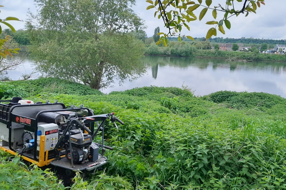 De RootWave Pro De RootWave Pro