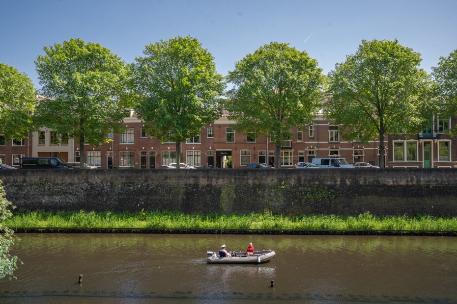 <i>Ulmus</i> 'New Horizon', Westwal in 's-Hertogenbosch