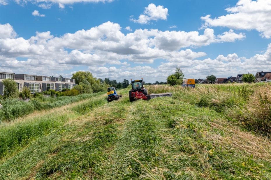 'Door variaties aan te brengen in grashoogtes en overjarig gras te laten staan, ontwikkel je micromilieus waarin meer én verschillende soorten kunnen leven' 'Door variaties aan te brengen in grashoogtes en overjarig gras te laten staan, ontwikkel je micromilieus waarin meer én verschillende soorten kunnen leven'