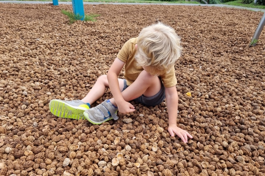 Perzikpitten (Beeld: SW Advies)