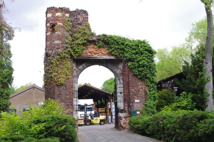 Waar de komende jaren een weelderig stadspark gerealiseerd wordt, rijden nu nog trucks en heftrucks af en aan.. Waar de komende jaren een weelderig stadspark gerealiseerd wordt, rijden nu nog trucks en heftrucks af en aan..