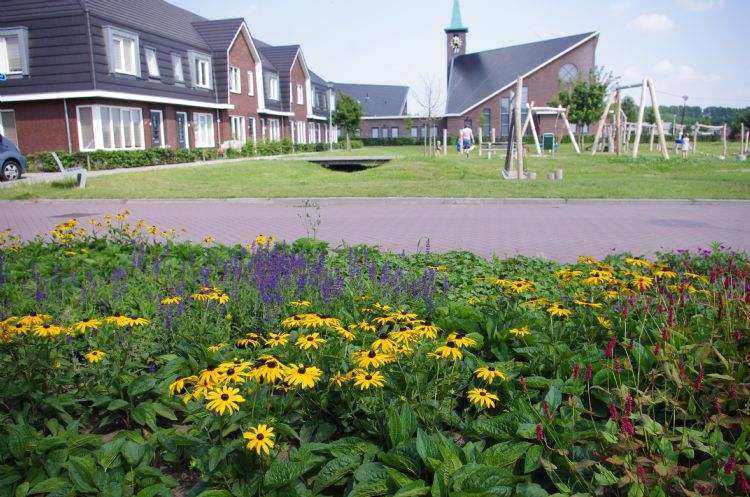 Zelfbeheer in de wijk Bulkenlaan in Gameren: ‘Bewoners kiezen vooral voor kleur.’ Zelfbeheer in de wijk Bulkenlaan in Gameren: ‘Bewoners kiezen vooral voor kleur.’
